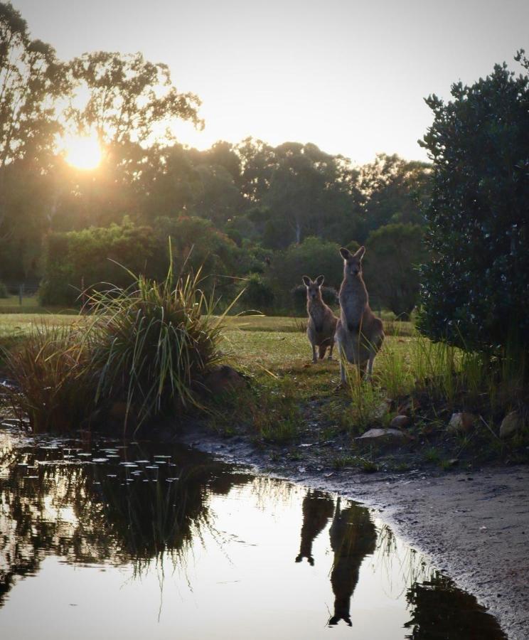 Lake Weyba Cottages Noosa Peregian Beach Exterior foto
