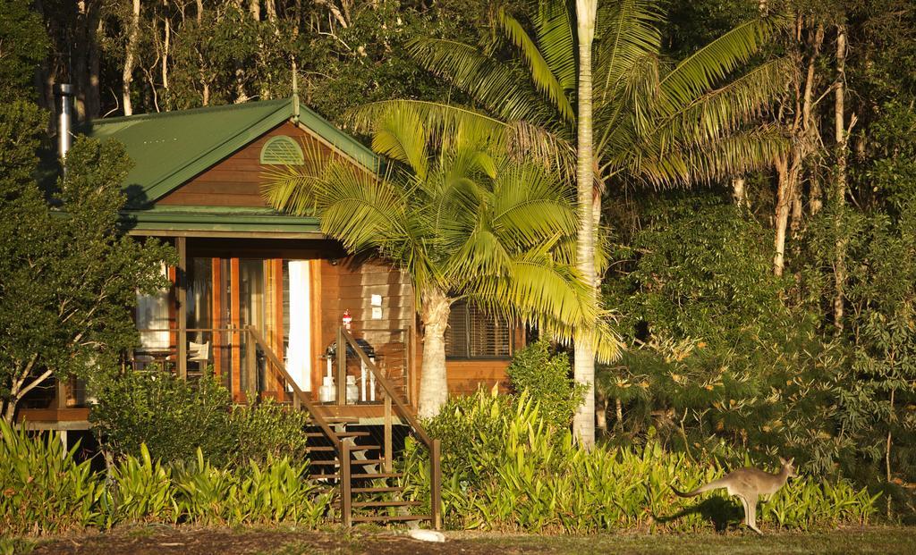 Lake Weyba Cottages Noosa Peregian Beach Exterior foto