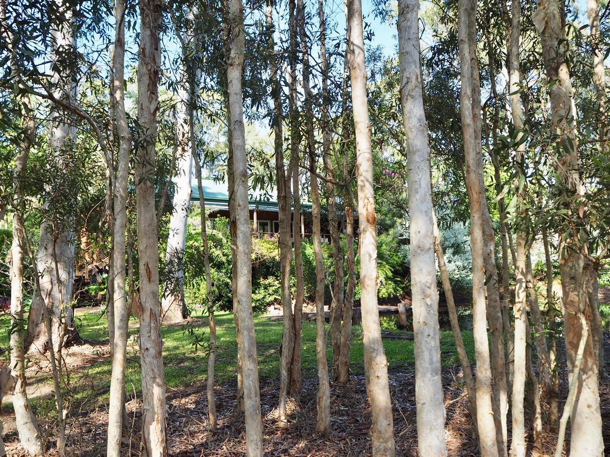 Lake Weyba Cottages Noosa Peregian Beach Exterior foto